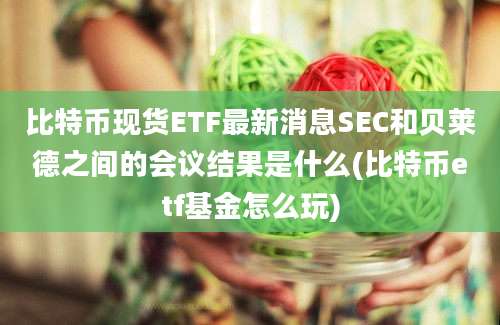 比特币现货ETF最新消息SEC和贝莱德之间的会议结果是什么(比特币etf基金怎么玩)