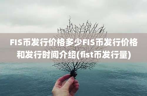 FIS币发行价格多少FIS币发行价格和发行时间介绍(fist币发行量)