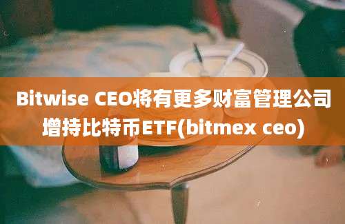 Bitwise CEO将有更多财富管理公司增持比特币ETF(bitmex ceo)