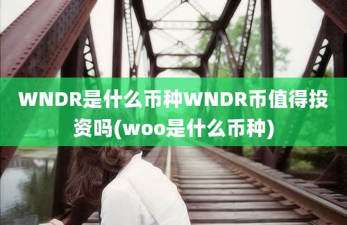 WNDR是什么币种WNDR币值得投资吗(woo是什么币种)