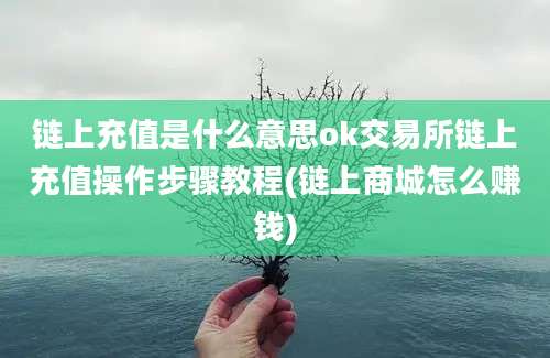 链上充值是什么意思ok交易所链上充值操作步骤教程(链上商城怎么赚钱)