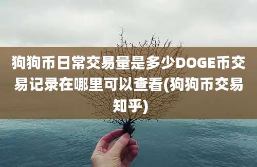 狗狗币日常交易量是多少DOGE币交易记录在哪里可以查看(狗狗币交易 知乎)