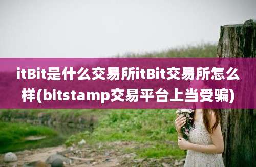 itBit是什么交易所itBit交易所怎么样(bitstamp交易平台上当受骗)