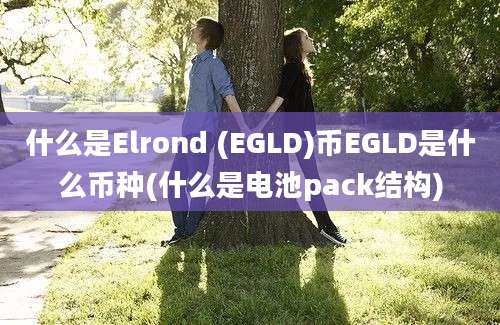 什么是Elrond (EGLD)币EGLD是什么币种(什么是电池pack结构)