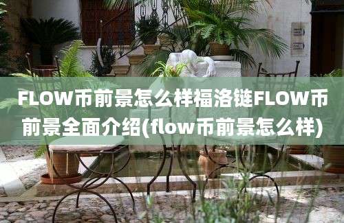 FLOW币前景怎么样福洛链FLOW币前景全面介绍(flow币前景怎么样)