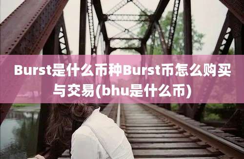 Burst是什么币种Burst币怎么购买与交易(bhu是什么币)