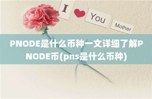 PNODE是什么币种一文详细了解PNODE币(pns是什么币种)