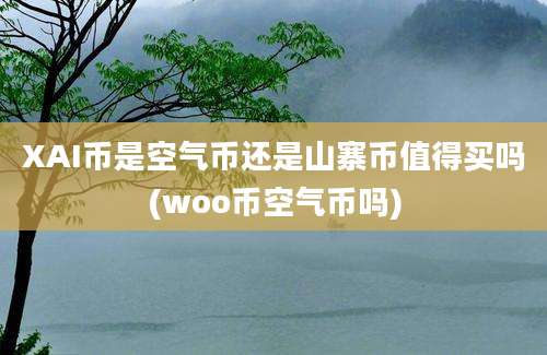 XAI币是空气币还是山寨币值得买吗(woo币空气币吗)