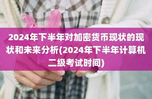 2024年下半年对加密货币现状的现状和未来分析(2024年下半年计算机二级考试时间)