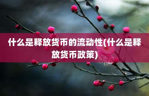 什么是释放货币的流动性(什么是释放货币政策)