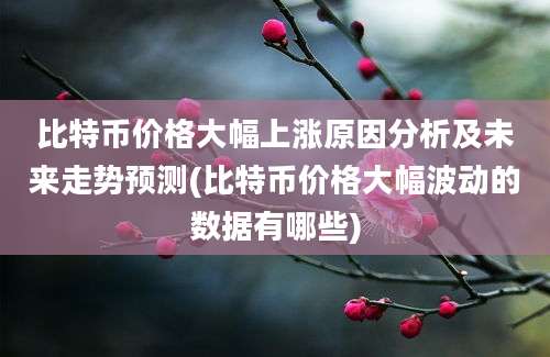 比特币价格大幅上涨原因分析及未来走势预测(比特币价格大幅波动的数据有哪些)