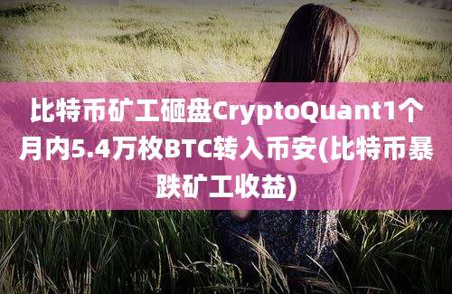 比特币矿工砸盘CryptoQuant1个月内5.4万枚BTC转入币安(比特币暴跌矿工收益)