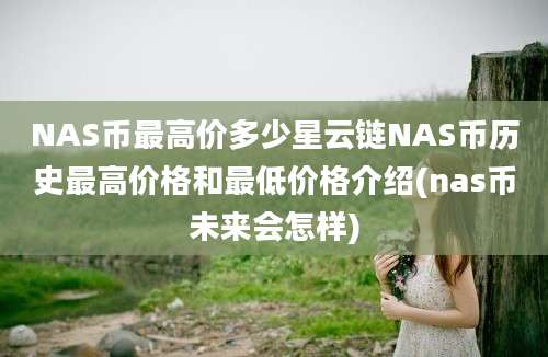 NAS币最高价多少星云链NAS币历史最高价格和最低价格介绍(nas币未来会怎样)