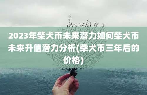 2023年柴犬币未来潜力如何柴犬币未来升值潜力分析(柴犬币三年后的价格)