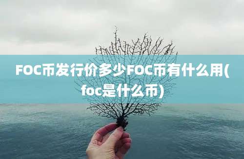 FOC币发行价多少FOC币有什么用(foc是什么币)