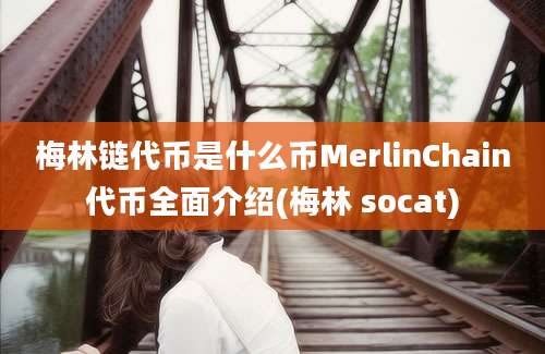 梅林链代币是什么币MerlinChain代币全面介绍(梅林 socat)