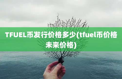 TFUEL币发行价格多少(tfuel币价格未来价格)