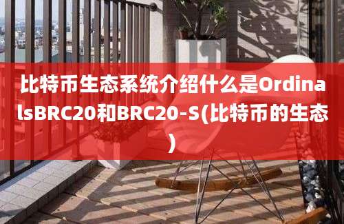 比特币生态系统介绍什么是OrdinalsBRC20和BRC20-S(比特币的生态)