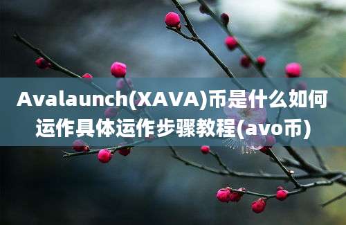 Avalaunch(XAVA)币是什么如何运作具体运作步骤教程(avo币)