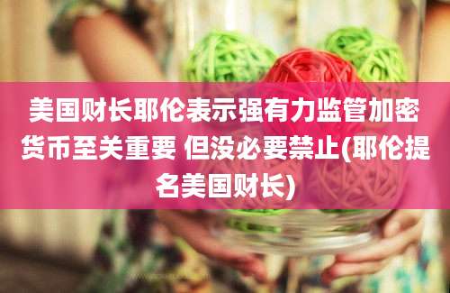 美国财长耶伦表示强有力监管加密货币至关重要 但没必要禁止(耶伦提名美国财长)