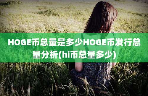 HOGE币总量是多少HOGE币发行总量分析(hi币总量多少)