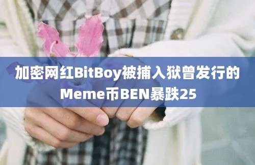 加密网红BitBoy被捕入狱曾发行的Meme币BEN暴跌25