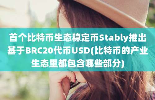 首个比特币生态稳定币Stably推出基于BRC20代币USD(比特币的产业生态里都包含哪些部分)