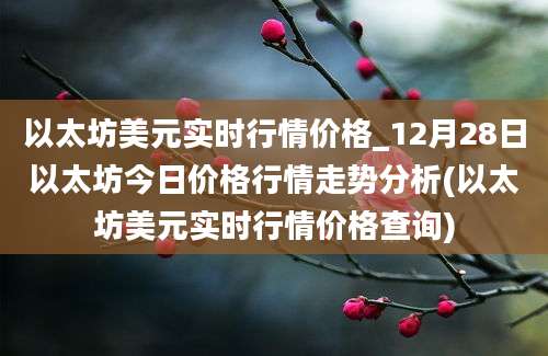 以太坊美元实时行情价格_12月28日以太坊今日价格行情走势分析(以太坊美元实时行情价格查询)