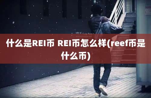 什么是REI币 REI币怎么样(reef币是什么币)