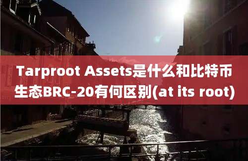 Tarproot Assets是什么和比特币生态BRC-20有何区别(at its root)