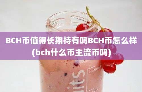 BCH币值得长期持有吗BCH币怎么样(bch什么币主流币吗)