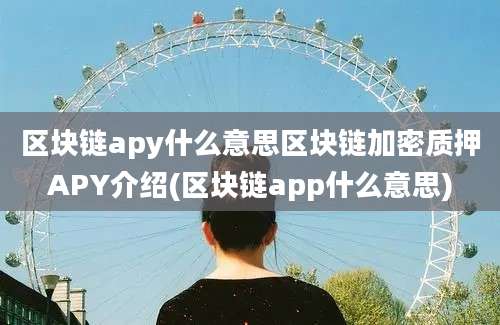 区块链apy什么意思区块链加密质押APY介绍(区块链app什么意思)