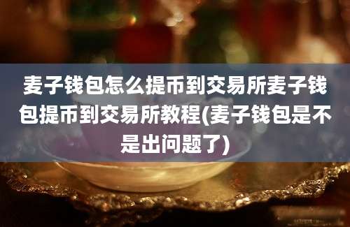 麦子钱包怎么提币到交易所麦子钱包提币到交易所教程(麦子钱包是不是出问题了)