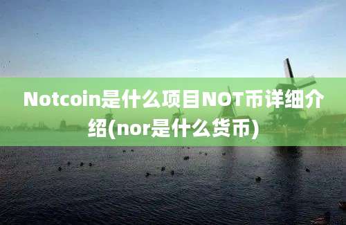 Notcoin是什么项目NOT币详细介绍(nor是什么货币)