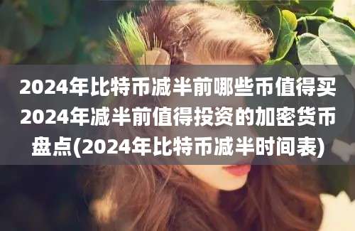 2024年比特币减半前哪些币值得买2024年减半前值得投资的加密货币盘点(2024年比特币减半时间表)