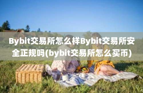 Bybit交易所怎么样Bybit交易所安全正规吗(bybit交易所怎么买币)