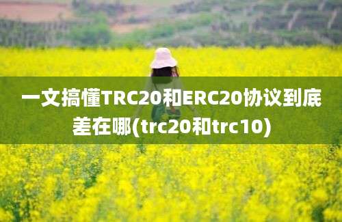 一文搞懂TRC20和ERC20协议到底差在哪(trc20和trc10)