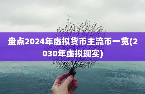 盘点2024年虚拟货币主流币一览(2030年虚拟现实)