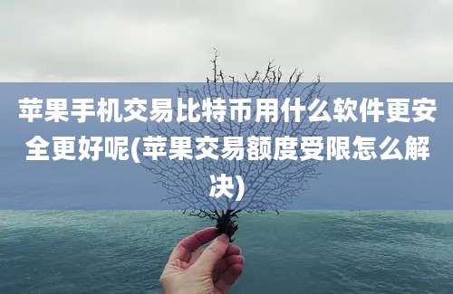 苹果手机交易比特币用什么软件更安全更好呢(苹果交易额度受限怎么解决)