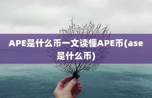 APE是什么币一文读懂APE币(ase是什么币)