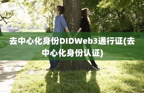 去中心化身份DIDWeb3通行证(去中心化身份认证)