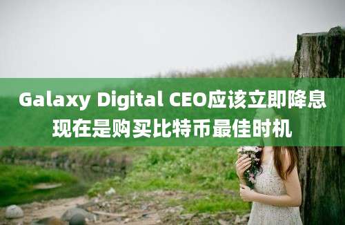 Galaxy Digital CEO应该立即降息现在是购买比特币最佳时机