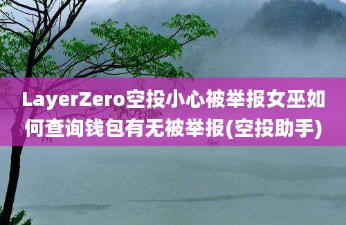 LayerZero空投小心被举报女巫如何查询钱包有无被举报(空投助手)