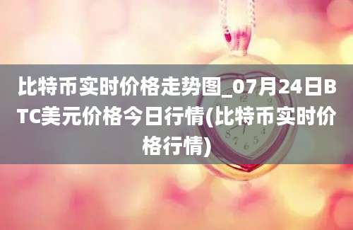 比特币实时价格走势图_07月24日BTC美元价格今日行情(比特币实时价格行情)