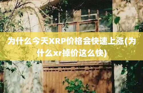 为什么今天XRP价格会快速上涨(为什么xr掉价这么快)