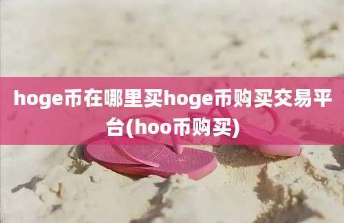 hoge币在哪里买hoge币购买交易平台(hoo币购买)