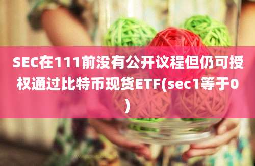 SEC在111前没有公开议程但仍可授权通过比特币现货ETF(sec1等于0)