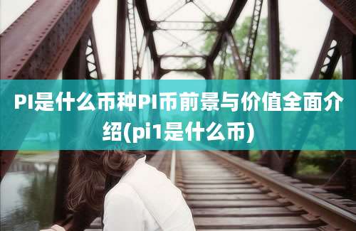 PI是什么币种PI币前景与价值全面介绍(pi1是什么币)