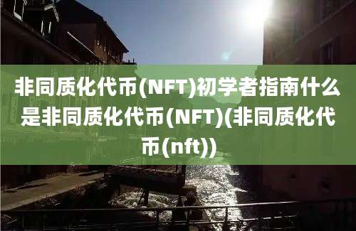 非同质化代币(NFT)初学者指南什么是非同质化代币(NFT)(非同质化代币(nft))