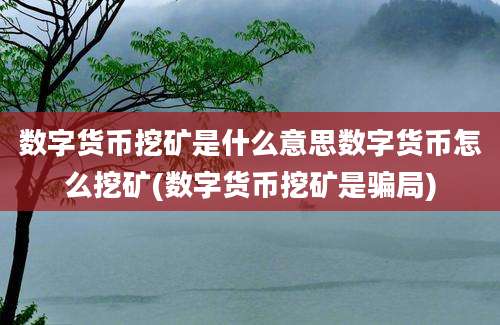 数字货币挖矿是什么意思数字货币怎么挖矿(数字货币挖矿是骗局)